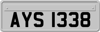AYS1338