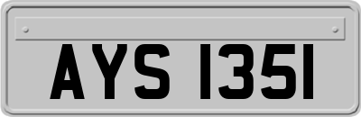 AYS1351