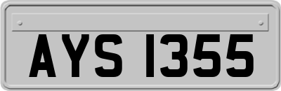 AYS1355