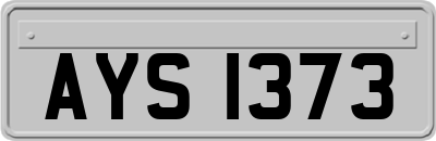 AYS1373