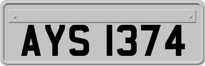 AYS1374
