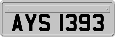 AYS1393