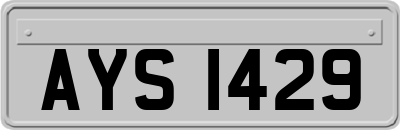 AYS1429