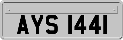 AYS1441