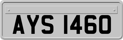 AYS1460