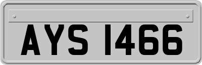 AYS1466