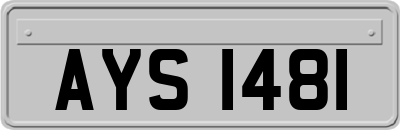 AYS1481