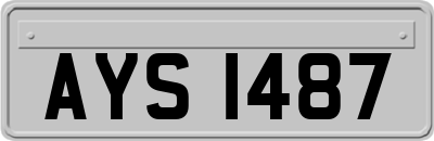 AYS1487
