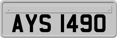 AYS1490
