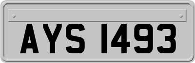 AYS1493