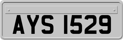 AYS1529