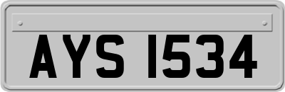 AYS1534