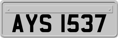 AYS1537