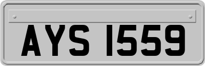 AYS1559