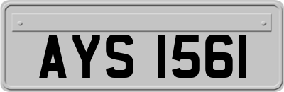 AYS1561