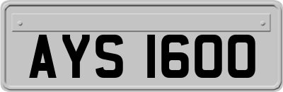 AYS1600