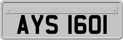 AYS1601