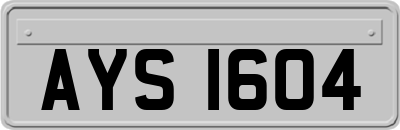 AYS1604