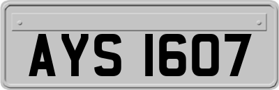 AYS1607