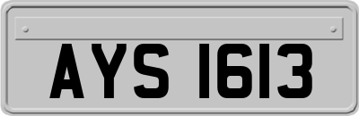 AYS1613