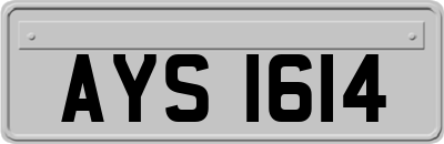 AYS1614