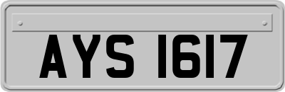AYS1617