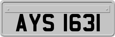 AYS1631