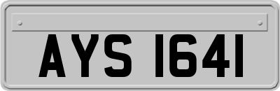 AYS1641
