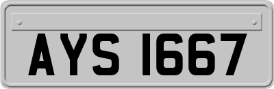AYS1667