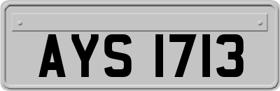 AYS1713