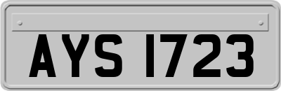AYS1723