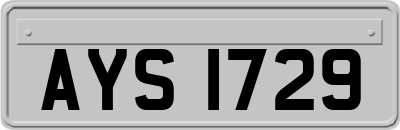 AYS1729