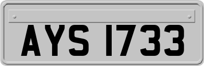 AYS1733
