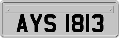 AYS1813