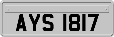 AYS1817