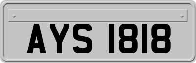 AYS1818