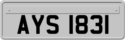 AYS1831