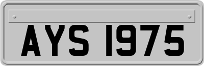 AYS1975