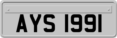 AYS1991