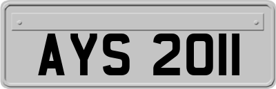 AYS2011