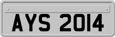 AYS2014
