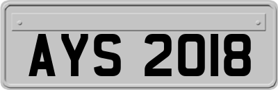 AYS2018