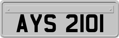 AYS2101
