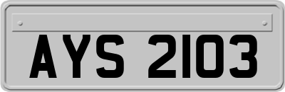 AYS2103