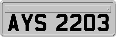 AYS2203