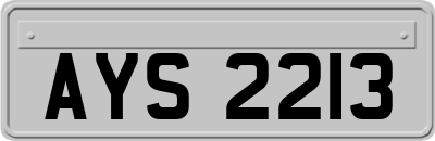 AYS2213