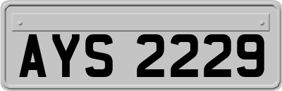 AYS2229