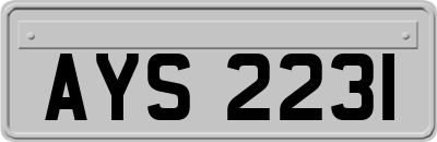 AYS2231