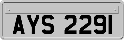 AYS2291