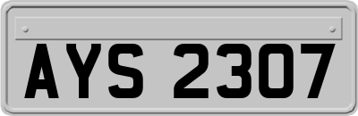 AYS2307